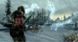 Elder Scrolls V: Skyrim PC 14