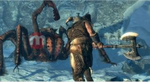 Elder Scrolls V: Skyrim PC 2