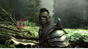 Elder Scrolls V: Skyrim PC 5