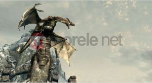 Elder Scrolls V: Skyrim PC 9