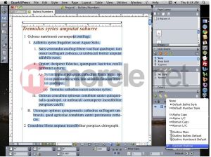 Quark OPROGRAMOWANIE, QUARKXPRESS 9, SINGLE FULL, EUROPE EAST EDITION ( 129613 ) 5