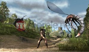 ZK Arcania: Gothic 4 + Arcania: Upadek Setarrif PC 2