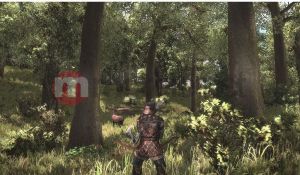 ZK Arcania: Gothic 4 + Arcania: Upadek Setarrif PC 7