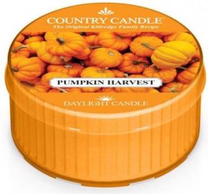 Country Candle Świeca zapachowa Daylight Pumpkin Harvest 35g 1