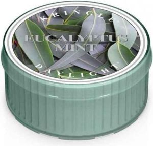 Kringle Candle Świeczka zapachowa Daylight Eucalyptus Mint 35g 1