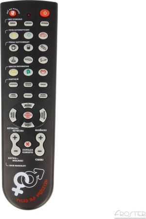 Froster Gadający Pilot - Steruj Kobietą! 4