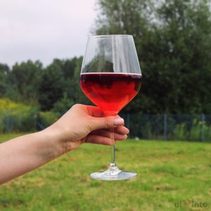 diVinto Gigantyczny Kieliszek diVinto - Who cares - Diamond 14