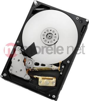 Dysk Hitachi Ultrastar 7K3000 3 TB 3.5" SATA III (0F12456) 1