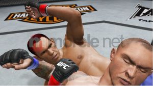 UFC 3 14