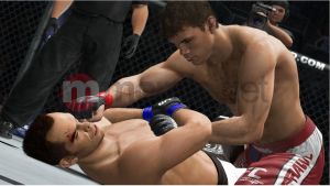 UFC 3 15