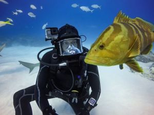 Tech-Protect TECH-PROTECT WATERPROOFCASE GOPRO HERO 5/6 7