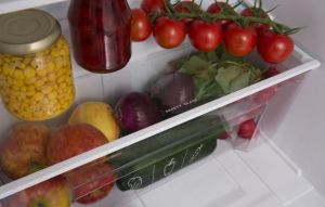 Lodówka Amica FD2015.4X 15