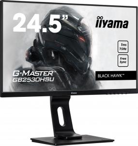 Monitor iiyama G-Master GB2530HSU-B1 Black Hawk 3