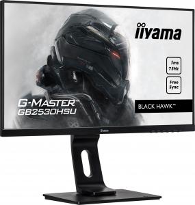 Monitor iiyama G-Master GB2530HSU-B1 Black Hawk 4