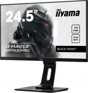 Monitor iiyama G-Master GB2530HSU-B1 Black Hawk 5