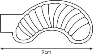 Tescoma Rogalik 24 szt. 2