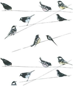 Museums & Galleries Karnet Garden Birds z kopertą 1
