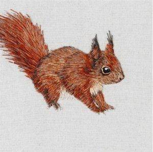 Museums & Galleries Karnet kwadrat Red Squirrel z kopertą 1