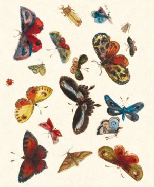 Museums & Galleries Karnet 17x14 Butterfly design z kopertą 1