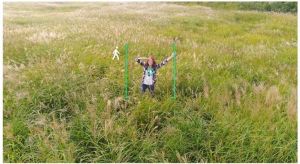 Dron DJI Phantom 4 PRO+ V2.0 EU (CP.PT.00000232.01) 6