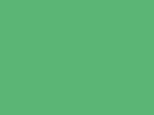 Kreska Karton B2 zielony A/20 270g 1
