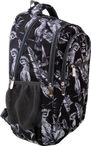 Chin&Chilla trzykomorowy Ptaki 2