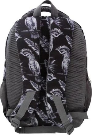 Chin&Chilla trzykomorowy Ptaki 3