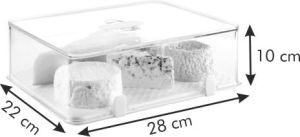 Tescoma Zdrowy pojemnik do lodówki PURITY 28x22 cm wysoki (891828.00) 1