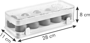 Tescoma Zdrowy pojemnik do lodówki PURITY, 10 jajek (891834.00) 1