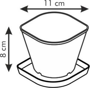 Tescoma Zestaw do uprawy ziół SENSE, pietruszka 2