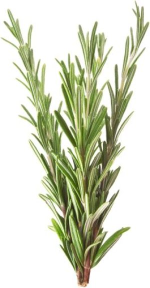 Mokosh Olejek rozmarynowy 10 ml 3