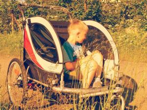 Guto Przyczepka rowerowa Guto Deluxe 2w1 red/light gray 13