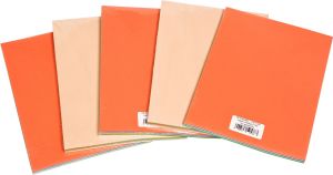 Cetus-Bis Papier ksero A4 80g mix kolorów 100 arkuszy 1