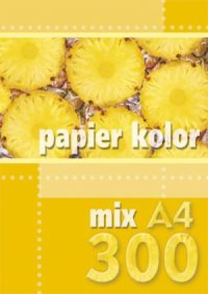 Kreska Papier ksero A4 mix kolorów 300 arkuszy 1
