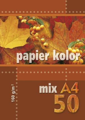 Kreska Papier ksero A4 160g mix kolorów 50 arkuszy 1