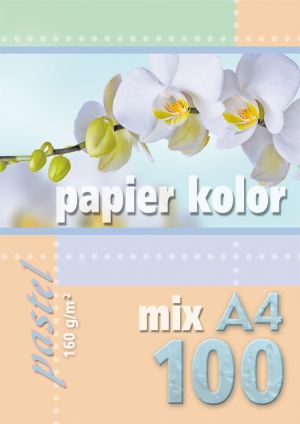 Kreska Papier ksero Pastel A4 160g mix kolorów 100 arkuszy 1