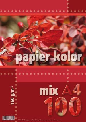 Kreska Papier ksero A4 160g mix kolorów 100 arkuszy 1