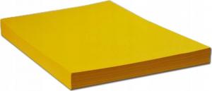 Protos Papier ksero A4 160g żółty 50 arkuszy 1