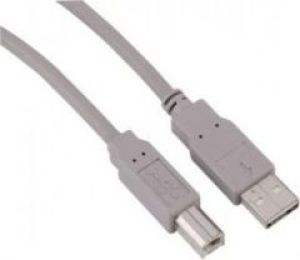 Kabel USB Hama USB-A - USB-B 1.8 m Szary (29099) 1
