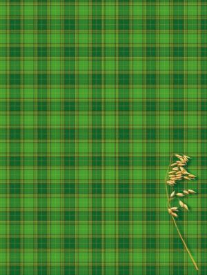 Kreska Brulion A5/300 twarda oprawa 2