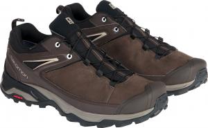 Buty trekkingowe męskie Salomon Buty męskie X Ultra 3 Ltr GTX Delicioso/Bungee Cord r. 42 (404785) 3