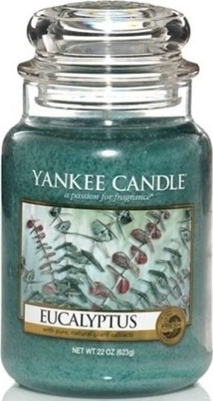 Yankee Candle Large Jar duża świeczka zapachowa Eucalyptus 623g 1