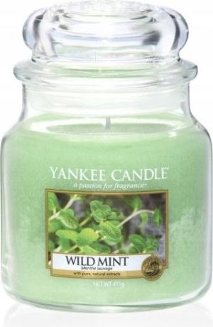Yankee Candle Classic Medium Jar świeca zapachowa Wild Mint 411g 1