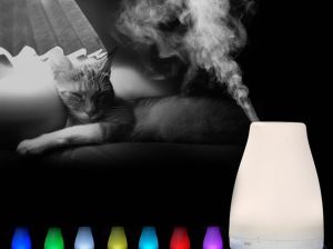 Nawilżacz powietrza King Home Biały 5