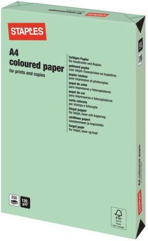 Staples Papier ksero Pastel Colours A4 120g zielony 250 arkuszy 3