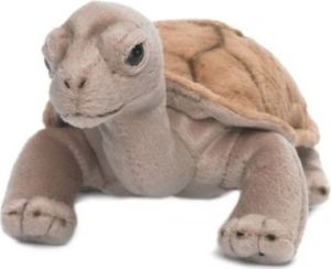 WWF Maskotka żółw lądowy 20cm (ARTA0184) 1