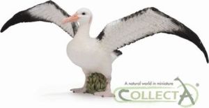 Figurka Collecta Albatros Wędrowny 1