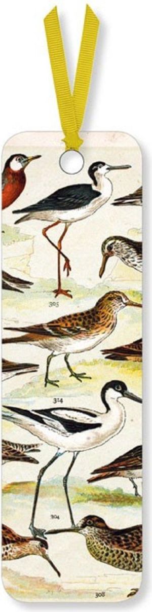 Museums & Galleries Zakładka do książki English Wading Birds 1