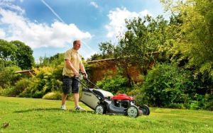 Kosiarka spalinowa Honda kosiarka spalinowa (HRX 537 VYEA) 2