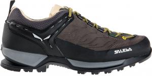 Buty trekkingowe męskie Salewa Buty męskie Mountain Trainer Leather Walnut/Golden Palm r. 44 (63469-7509) 1